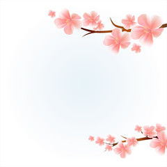 Fototapeta na wymiar Branches of sakura with flowers. Cherry blossom branches isolated on light Blue. Vector