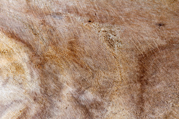 Old wood background texture