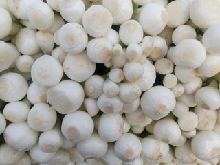 Directly above shot of onions for sale