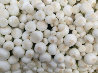 Directly above shot of onions for sale