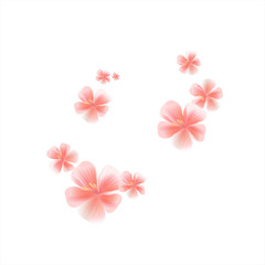 Fototapeta na wymiar Pink flying flowers isolated on white. Sakura flowers. Cherry blossom. Vector 