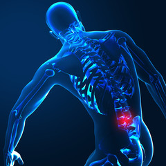 3d render of a medical image of a male figure with colon highlig