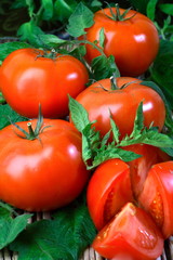 Big red fresh tomatoes