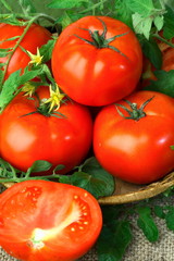 Big red fresh tomatoes