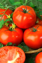 Big red fresh tomatoes