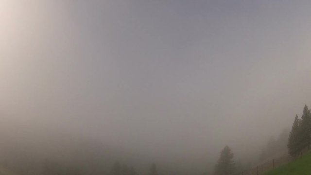 Fog and Fogbow in Black Hills