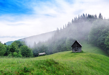 old cabin near the forest