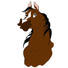 Horse cartoon character. Bay color. Horse head isolated on a white background.