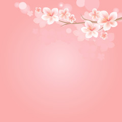 Flowers background with bokeh. Flowers design. Sakura blossoms. Cherry blossom branch on pink. Vector 