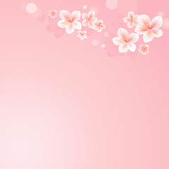 Flowers background with bokeh. Flowers design. Flying Sakura flowers. Cherry blossom on pink. Vector 
