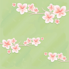 Flowers design. Flowers background. Branches of sakura with flowers. Cherry blossom branches on green background. Vector 