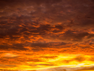Golden Yellow Mixed with Gray Clouds