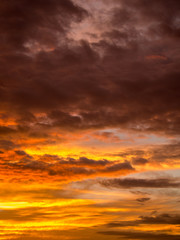 Golden Yellow Mixed with Gray Clouds