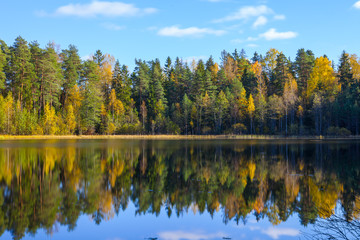 Autumn forest reflection in pond, smooth water, Aegviidu, Estonia