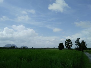 Sky and nature