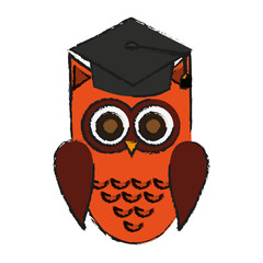 owl cartoon with graduation cap over white background. colorful design. vector illustration