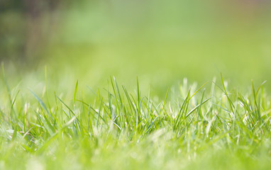 Defocused grass on field