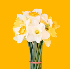 Photo sur Plexiglas Narcisse a bouquet of daffodils isolated on a light orange background
