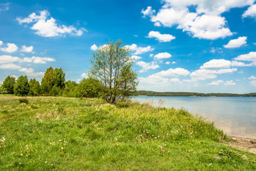 Green meadow by the lake landscape, holiday summer landscape.