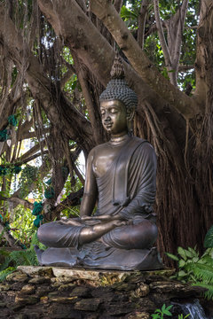 Ancient thai buddha statue sitting under the bodhi tree.