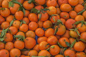 Fototapeta na wymiar Fruit mandarins