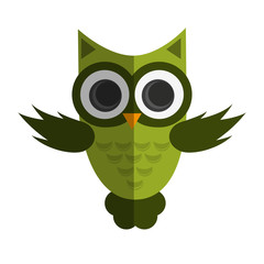 owl cartoon icon over white background. colorful design. vector illustration