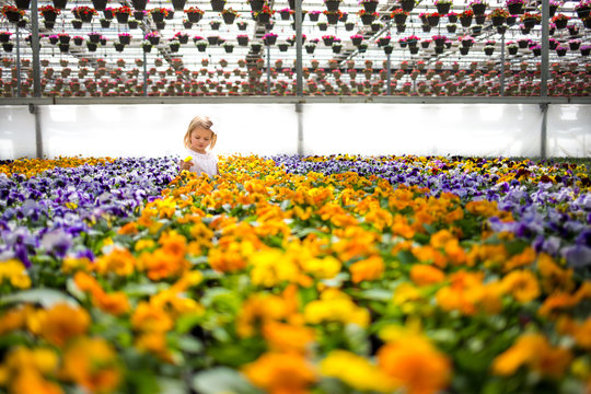 Girl looking at pansies in greenhouse 