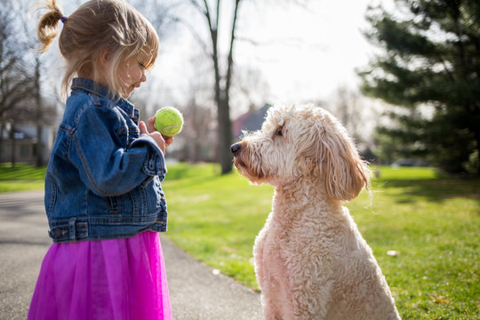 Girl Holding Ball With Dog In Park 