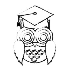 owl cartoon with graduation cap over white background. vector illustration