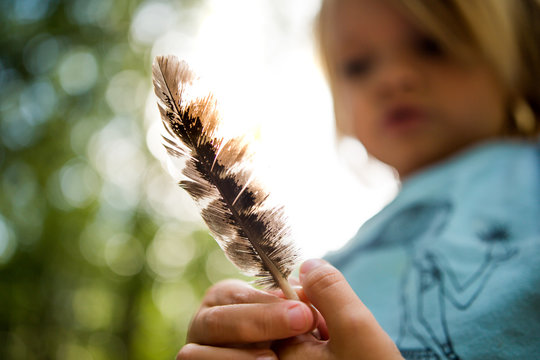Young child inspecting bird feather 