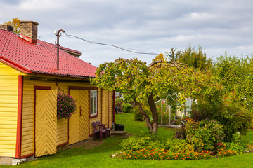 Yellow wooden house with tree and cosy green yard