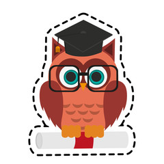 owl with graduation cap over white background. colorful design. vector illustration
