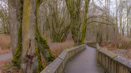 Fototapeta premium Wooden path in the fairy autumn forest. NisquallyNational Wildlife Refuge, Washington, USA