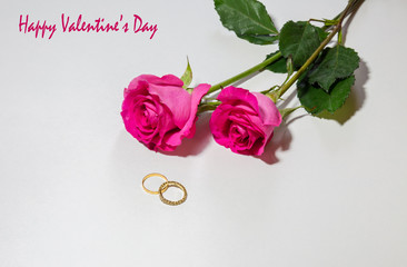 Happy Valentines Day message with bright pink roses and gold engagement rings isolated on white background.