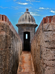 Puerto Rico Detail 02