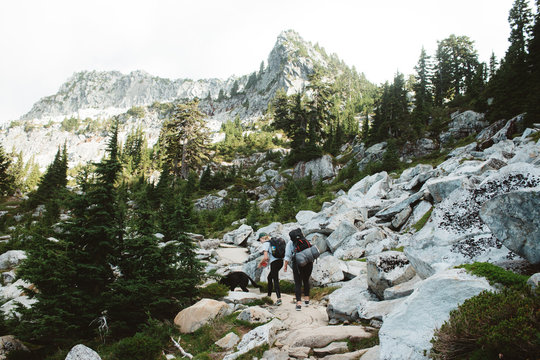 Two people and dog walking in mountain terrain 