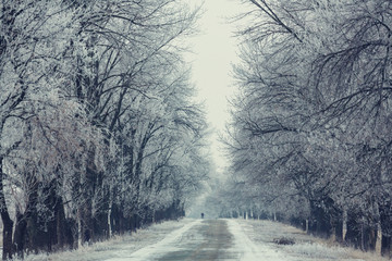 Obraz premium Winter alley