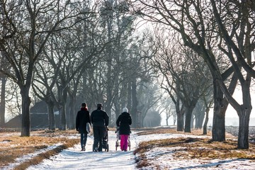 Man and two women with baby carriages on a walk in tree alley in snowy winter, Lednice, Czech Republic.jpg