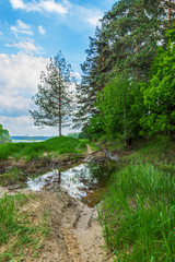 Road through a deep puddle along the riverbank.