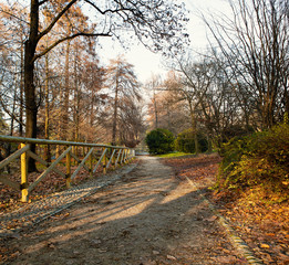 Beautiful empty path in winter park