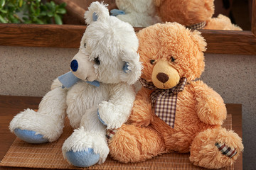 Love Teddy Bears