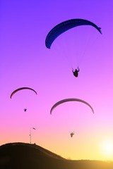 Naklejka na ściany i meble Paragliding on the sunset