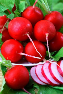 Ripe red radishes on a plate