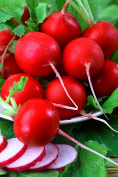 Ripe red radishes on a plate