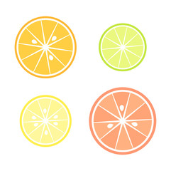 Citrus slices illustration