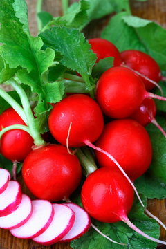 Ripe red radishes