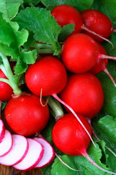 Ripe red radishes