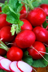 Ripe red radishes