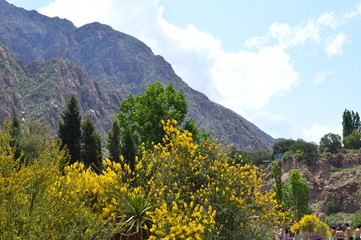 Obraz premium Relaxing Mountains 