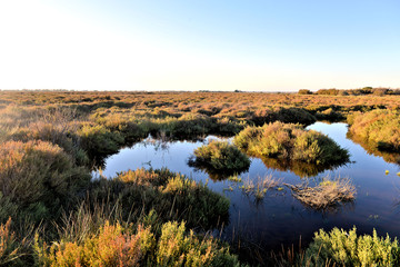 Salins dans le sud de la France